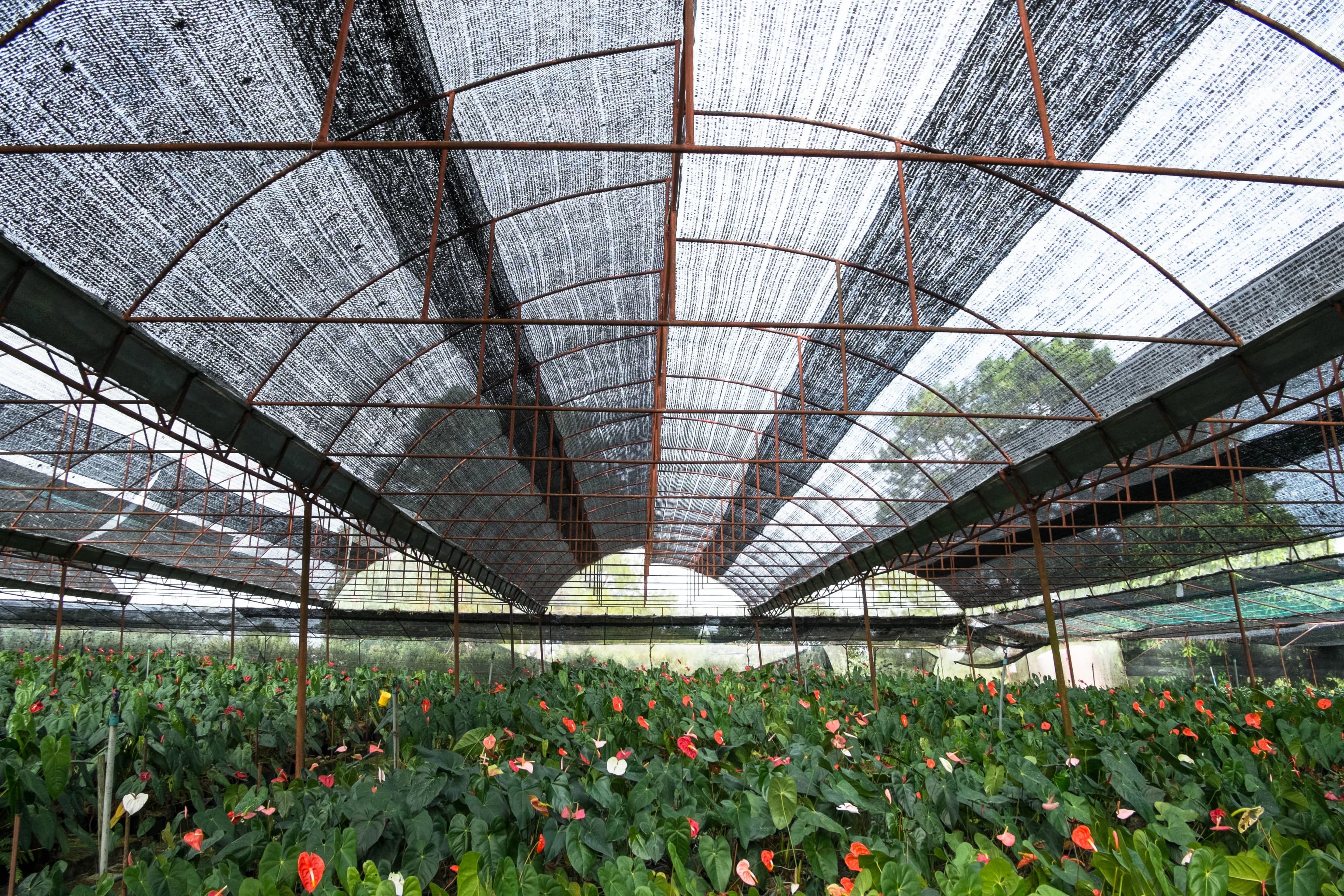 Knitted Shade Nets