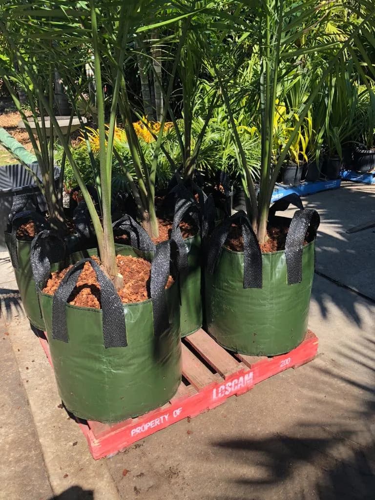 Planter Bags