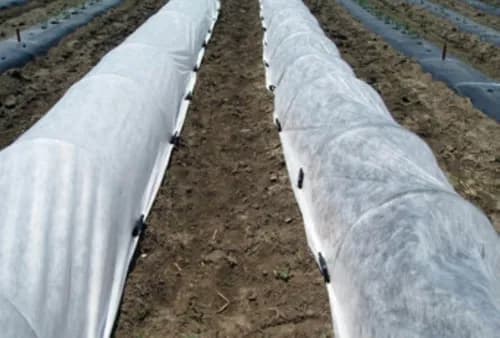 Fleece Covers & Row Covers