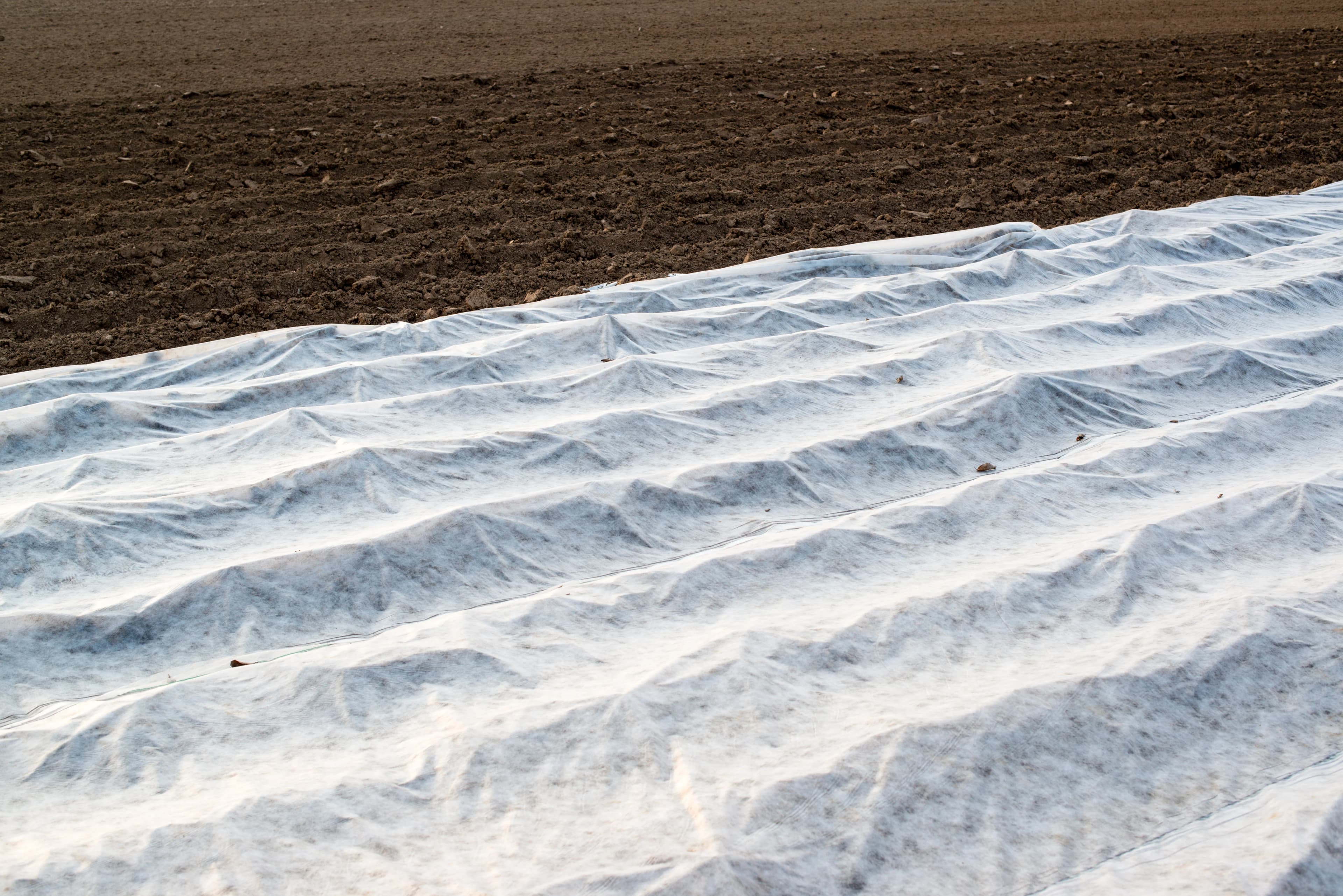 Fleece Covers & Row Covers