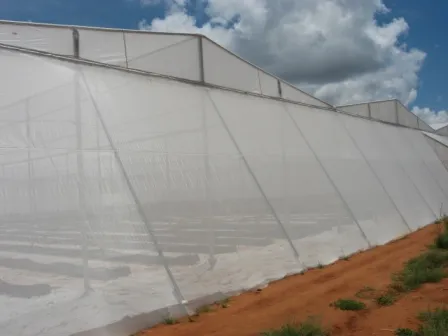 Anti-Insect Nets for Horticulture